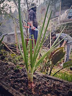 Take it Easy, Easy Does It