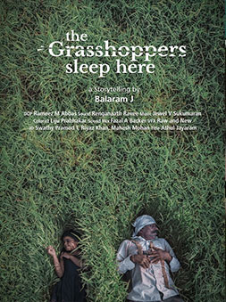 The Grasshoppers Sleep Here